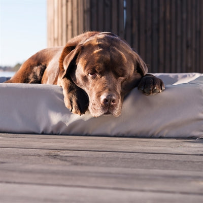 Bia Bed Hondenmand Outdoor Taupe