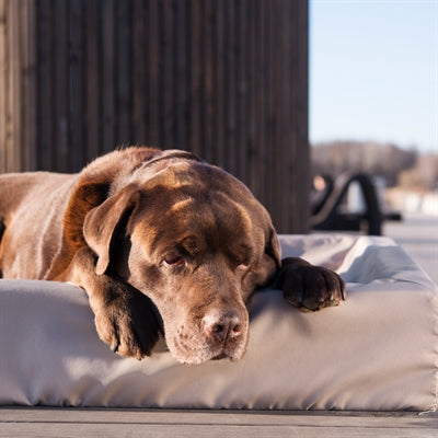 Bia Bed Hondenmand Outdoor Taupe