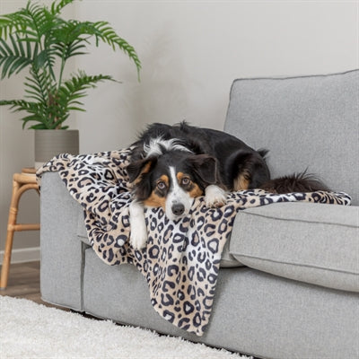 Trixie Hondendeken Leo Softpluche Panterprint Creme